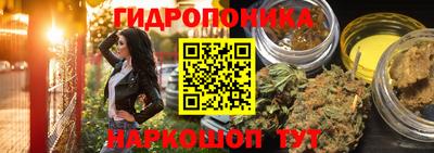 бошки Ярославль